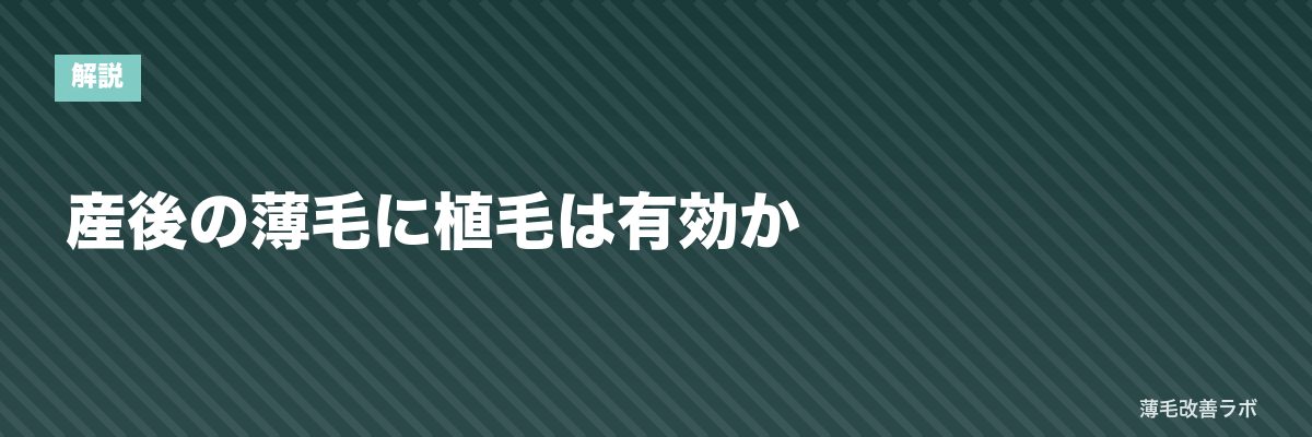 産後の薄毛に植毛は有効か | 薄毛改善ラボ