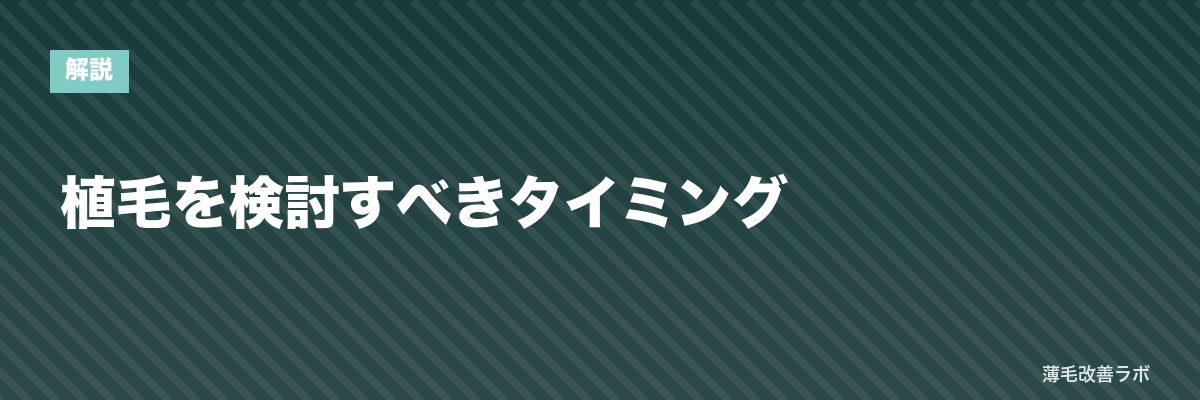 植毛を検討すべきタイミング | 薄毛改善ラボ
