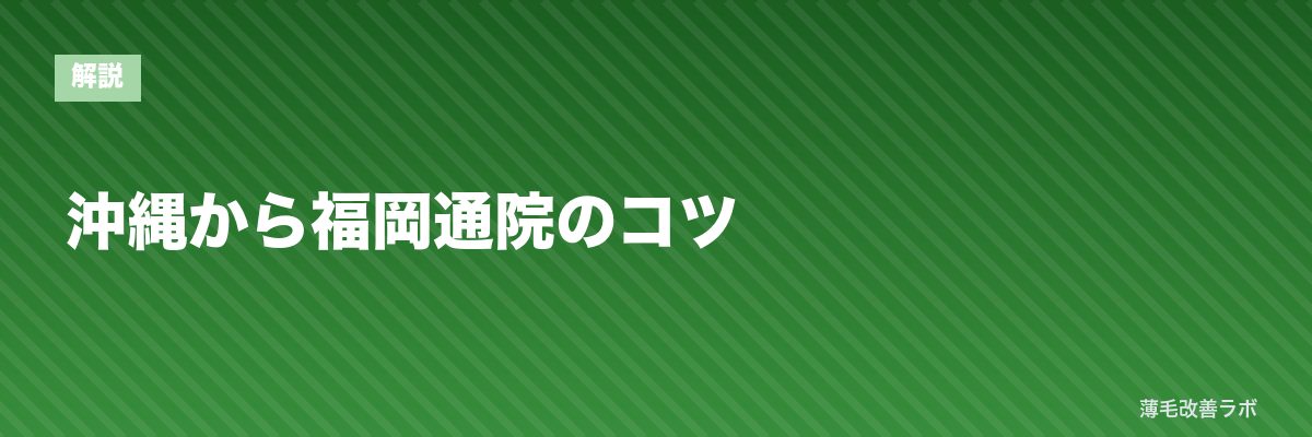 沖縄から福岡通院のコツ | 薄毛改善ラボ