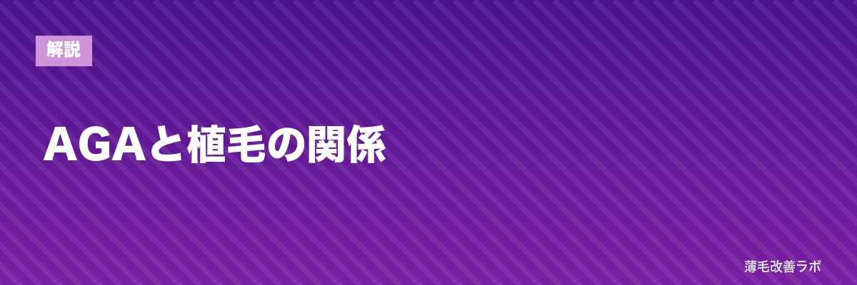 AGAと植毛の関係 | 薄毛改善ラボ