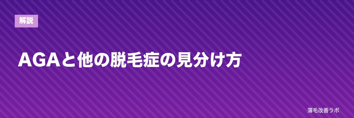 AGAと他の脱毛症の見分け方 | 薄毛改善ラボ