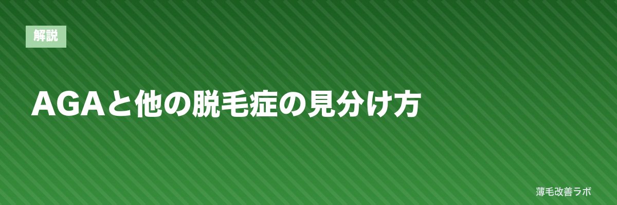 AGAと他の脱毛症の見分け方 | 薄毛改善ラボ