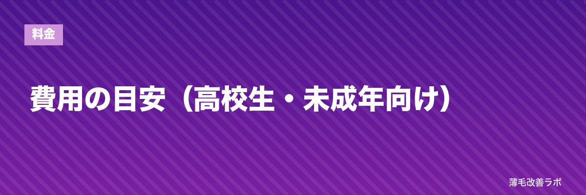 費用の目安（高校生・未成年向け） | 薄毛改善ラボ