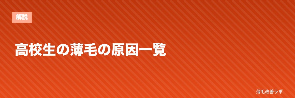 高校生の薄毛の原因一覧 | 薄毛改善ラボ
