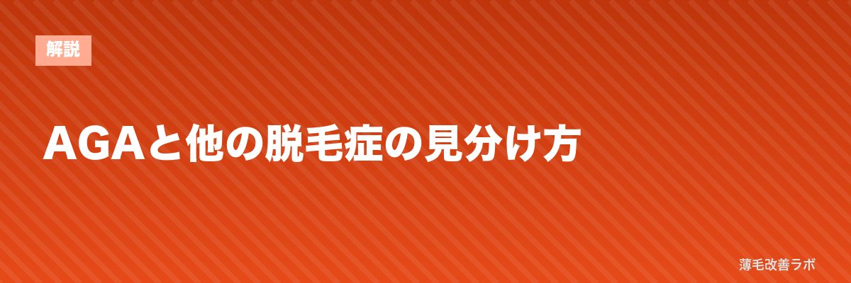 AGAと他の脱毛症の見分け方 | 薄毛改善ラボ