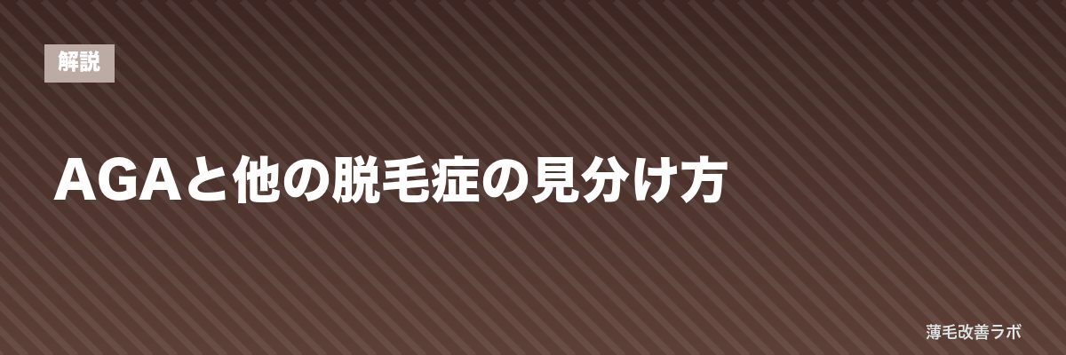 AGAと他の脱毛症の見分け方 | 薄毛改善ラボ