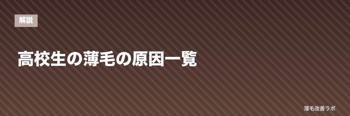 高校生の薄毛の原因一覧 | 薄毛改善ラボ