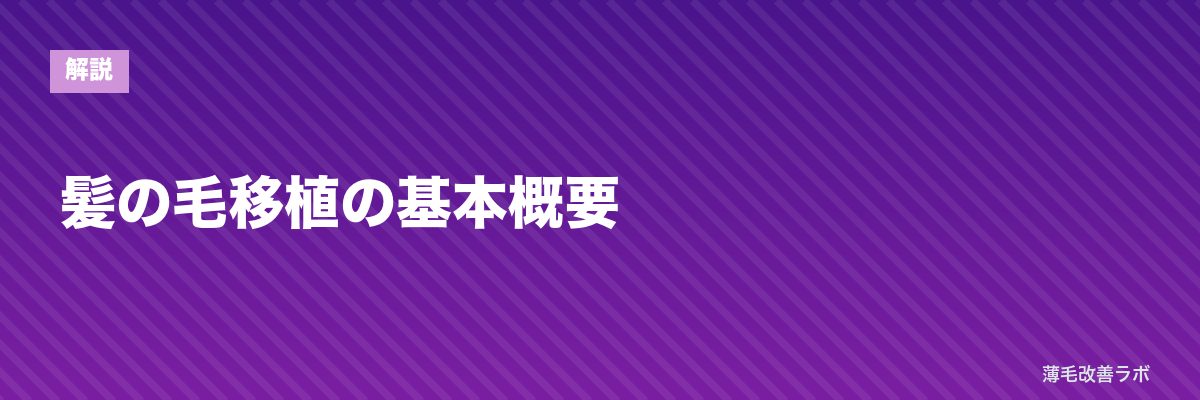 髪の毛移植の基本概要 | 薄毛改善ラボ