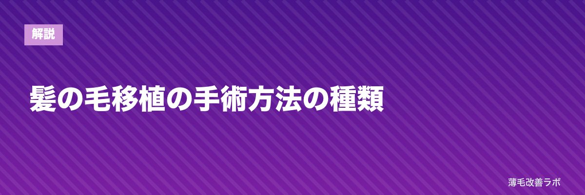 髪の毛移植の手術方法の種類 | 薄毛改善ラボ