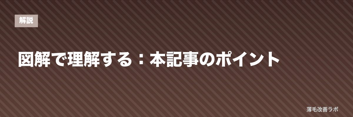 図解で理解する:本記事のポイント | 薄毛改善ラボ