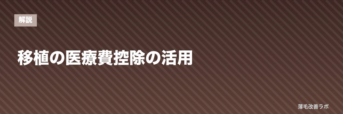 移植の医療費控除の活用 | 薄毛改善ラボ