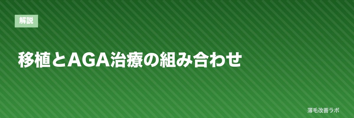 移植とAGA治療の組み合わせ | 薄毛改善ラボ