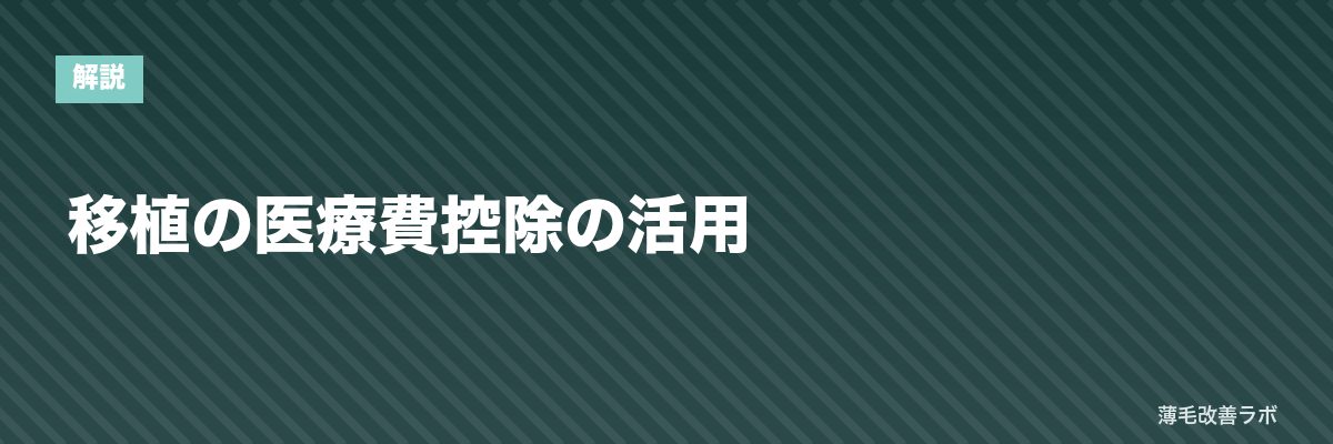 移植の医療費控除の活用 | 薄毛改善ラボ