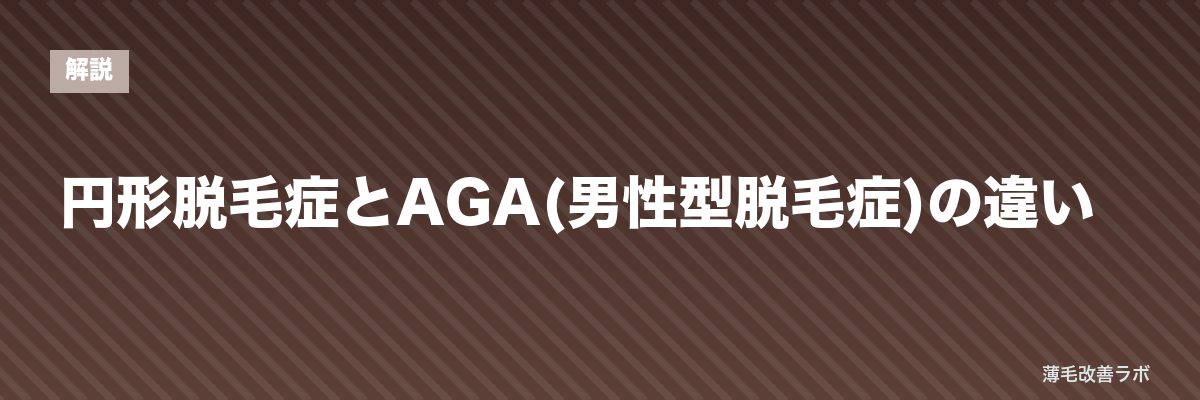 円形脱毛症とAGA(男性型脱毛症)の違い | 薄毛改善ラボ