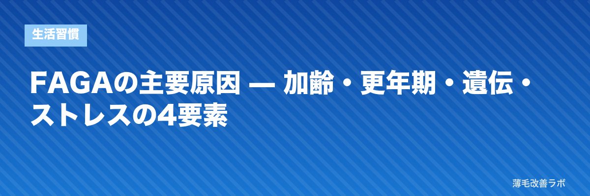 FAGAの主要原因 — 加齢・更年期・遺伝・ストレスの4要素 | 薄毛改善ラボ