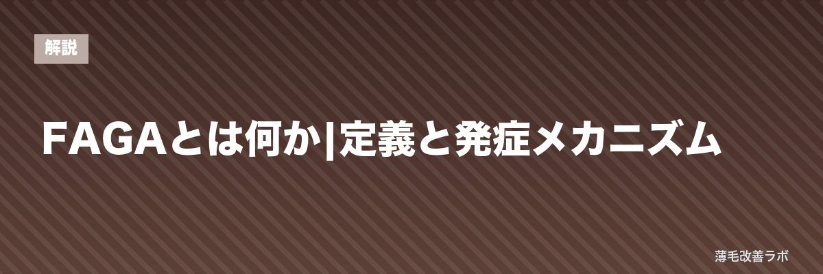 FAGAとは何か|定義と発症メカニズム | 薄毛改善ラボ