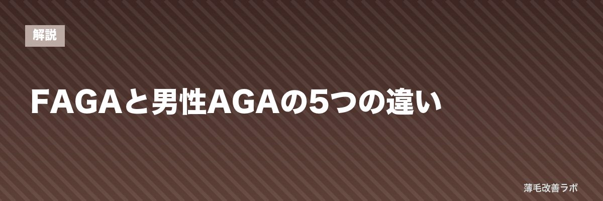 FAGAと男性AGAの5つの違い | 薄毛改善ラボ