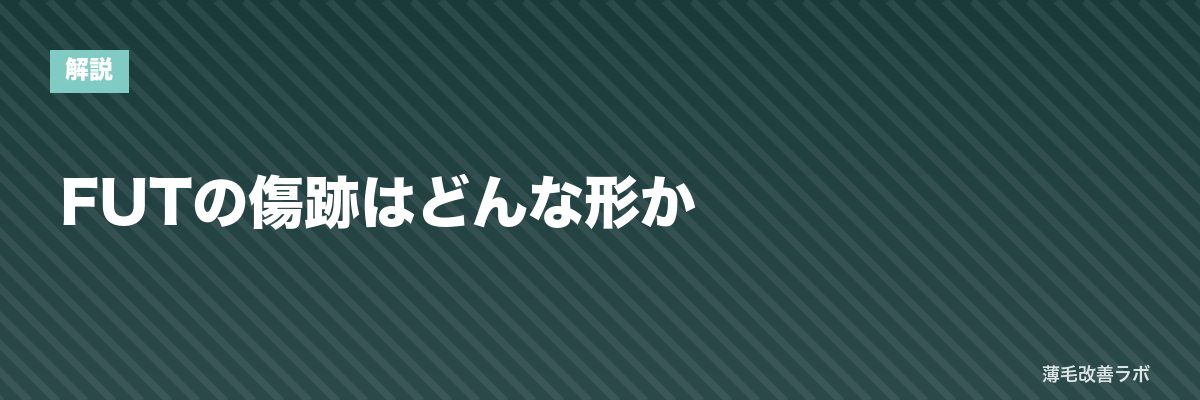 FUTの傷跡はどんな形か | 薄毛改善ラボ