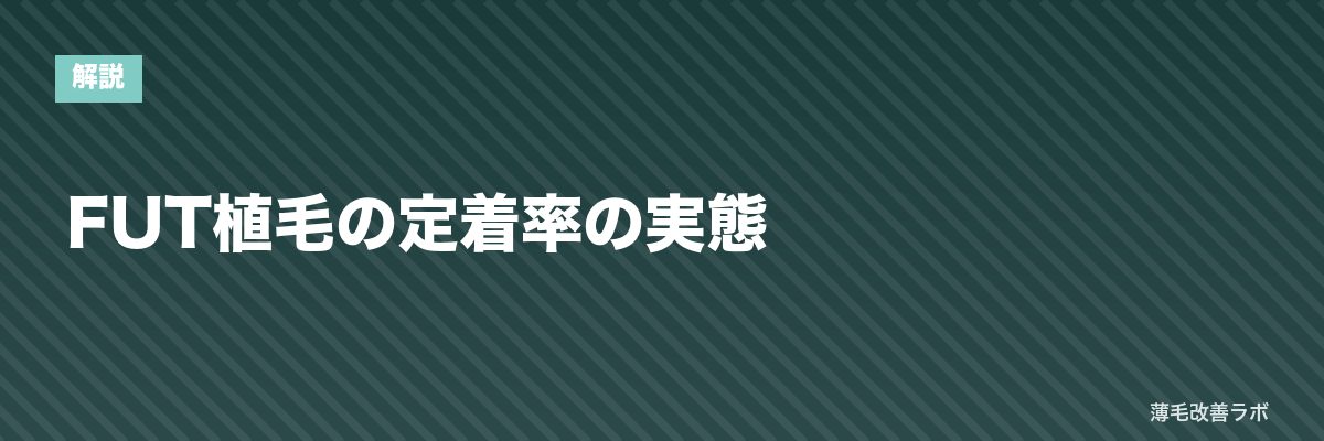 FUT植毛の定着率の実態 | 薄毛改善ラボ