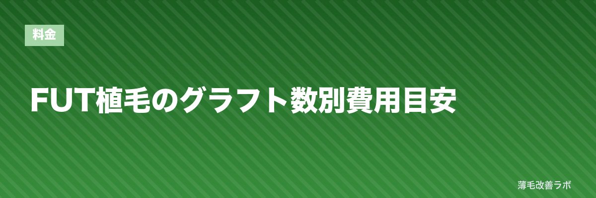 FUT植毛のグラフト数別費用目安 | 薄毛改善ラボ
