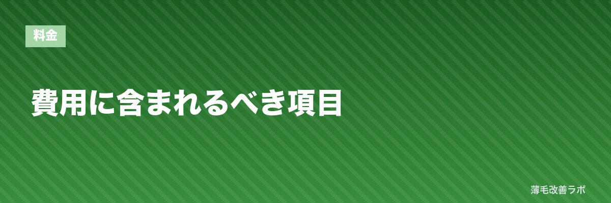 費用に含まれるべき項目 | 薄毛改善ラボ