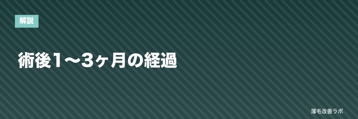 術後1〜3ヶ月の経過 | 薄毛改善ラボ