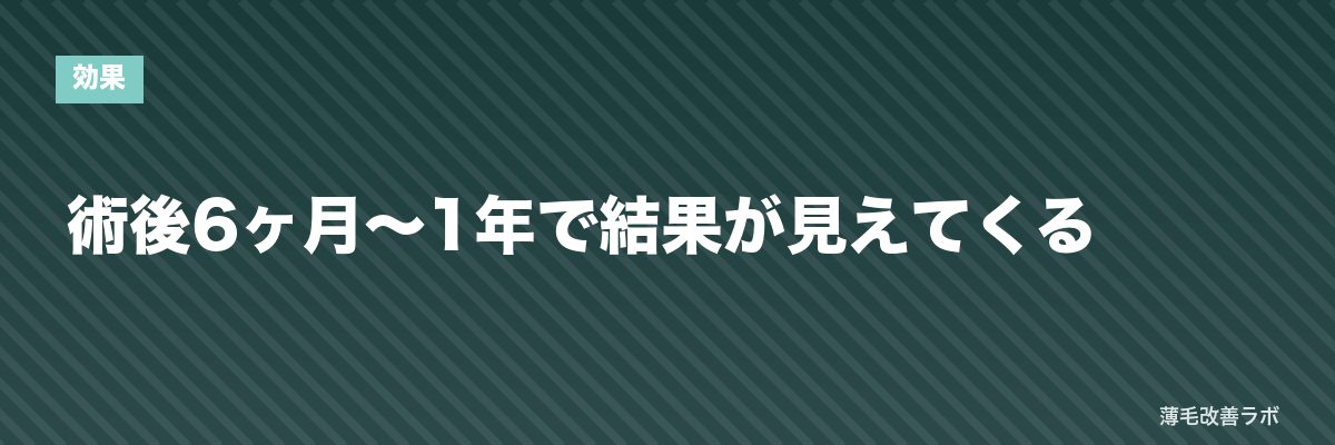 術後6ヶ月〜1年で結果が見えてくる | 薄毛改善ラボ