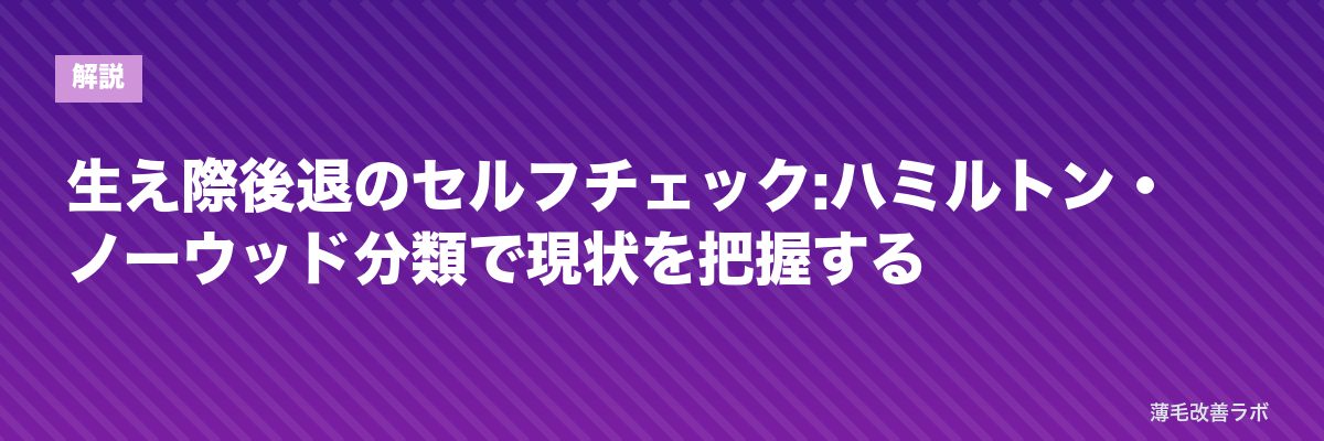 生え際後退のセルフチェック:ハミルトン・ノーウッド分類で現状を把握する | 薄毛改善ラボ