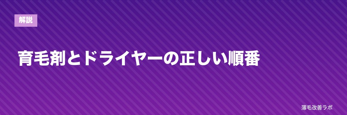 育毛剤とドライヤーの正しい順番 | 薄毛改善ラボ