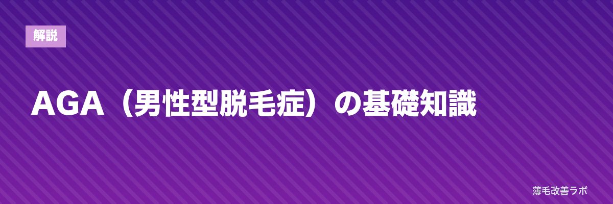 AGA(男性型脱毛症)の基礎知識 | 薄毛改善ラボ