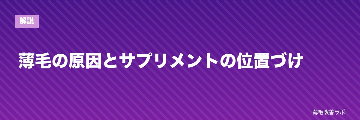 薄毛の原因とサプリメントの位置づけ | 薄毛改善ラボ