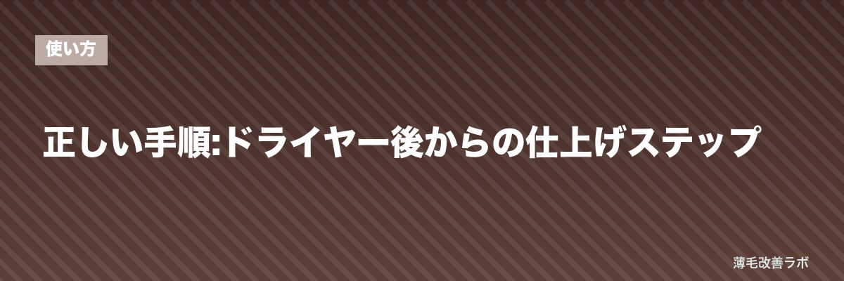 正しい手順:ドライヤー後からの仕上げステップ | 薄毛改善ラボ