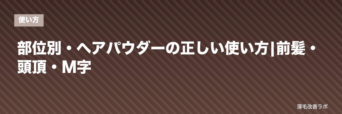 部位別・ヘアパウダーの正しい使い方|前髪・頭頂・M字 | 薄毛改善ラボ