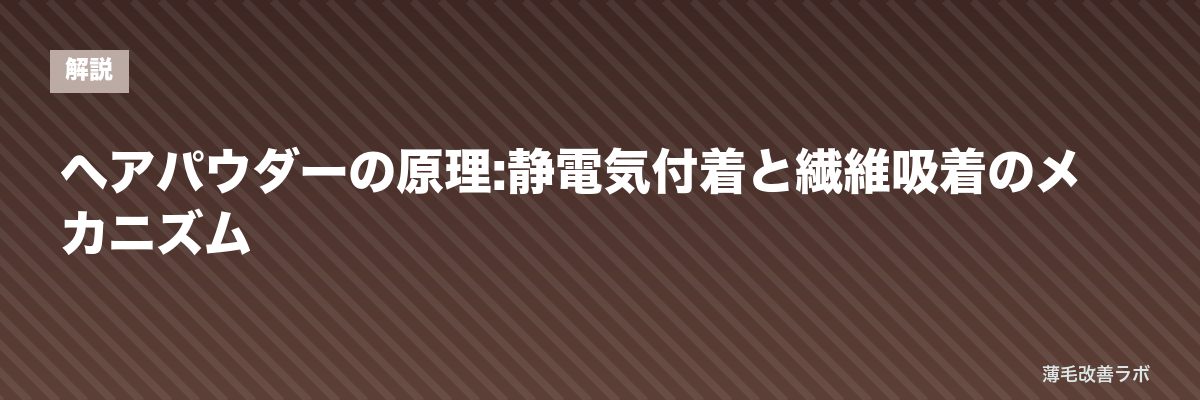 ヘアパウダーの原理:静電気付着と繊維吸着のメカニズム | 薄毛改善ラボ