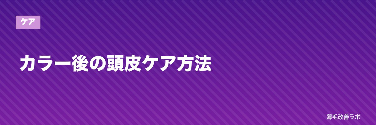 カラー後の頭皮ケア方法 | 薄毛改善ラボ