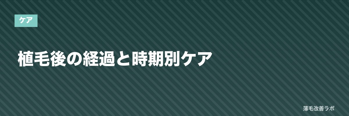 植毛後の経過と時期別ケア | 薄毛改善ラボ