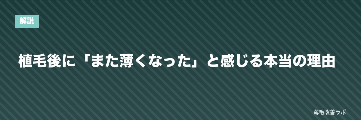 植毛後に「また薄くなった」と感じる本当の理由 | 薄毛改善ラボ