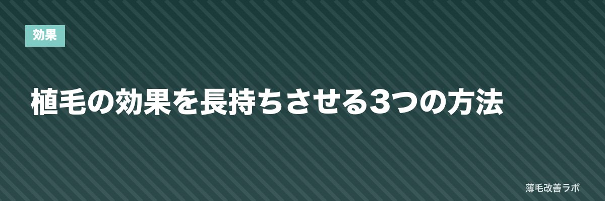 植毛の効果を長持ちさせる3つの方法 | 薄毛改善ラボ