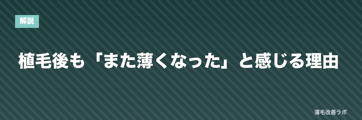植毛後も「また薄くなった」と感じる理由 | 薄毛改善ラボ