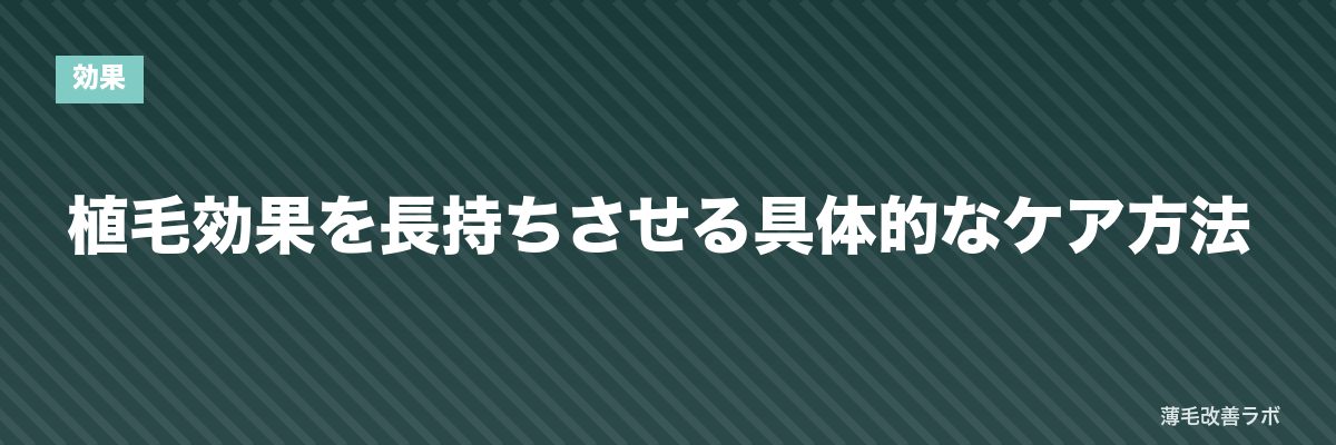 植毛効果を長持ちさせる具体的なケア方法 | 薄毛改善ラボ