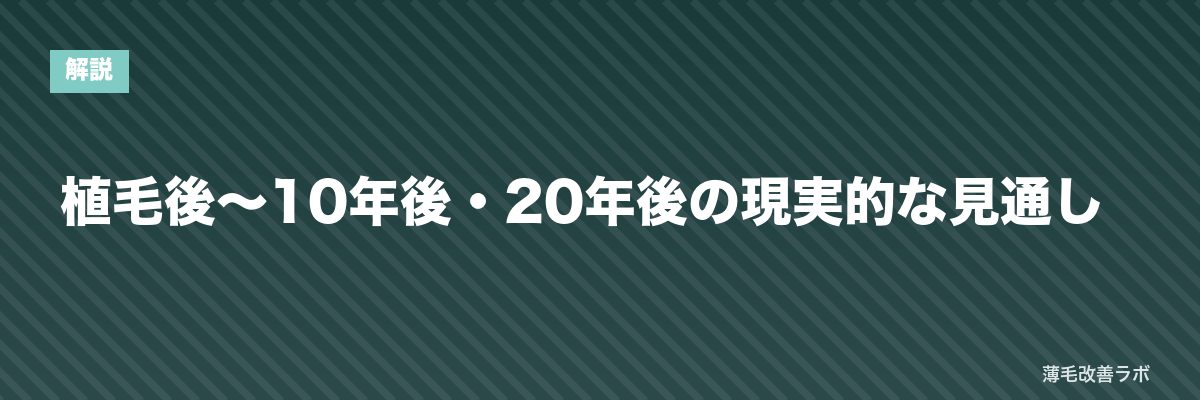 植毛後〜10年後・20年後の現実的な見通し | 薄毛改善ラボ