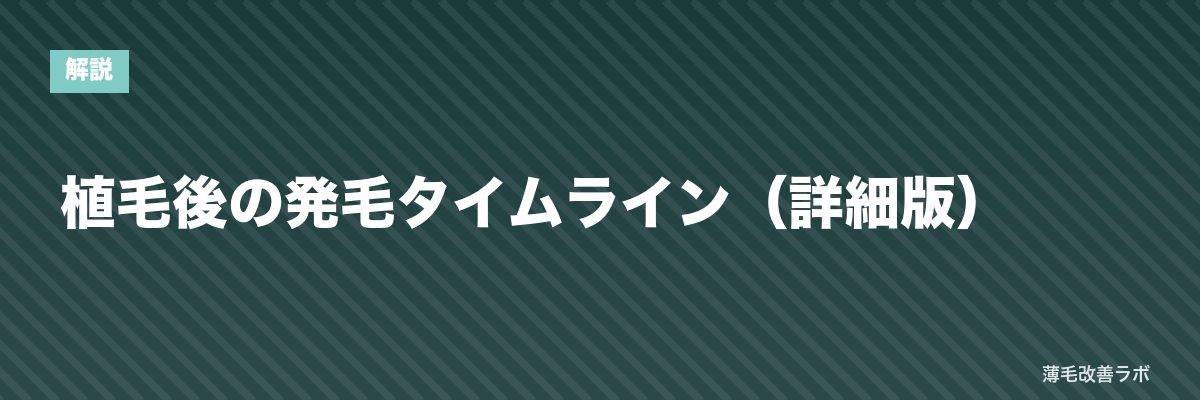 植毛後の発毛タイムライン（詳細版） | 薄毛改善ラボ