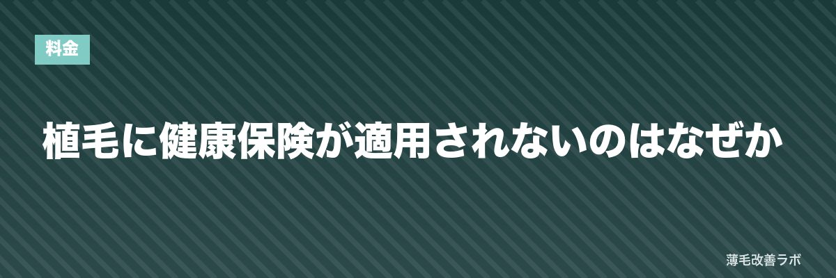 植毛に健康保険が適用されないのはなぜか | 薄毛改善ラボ