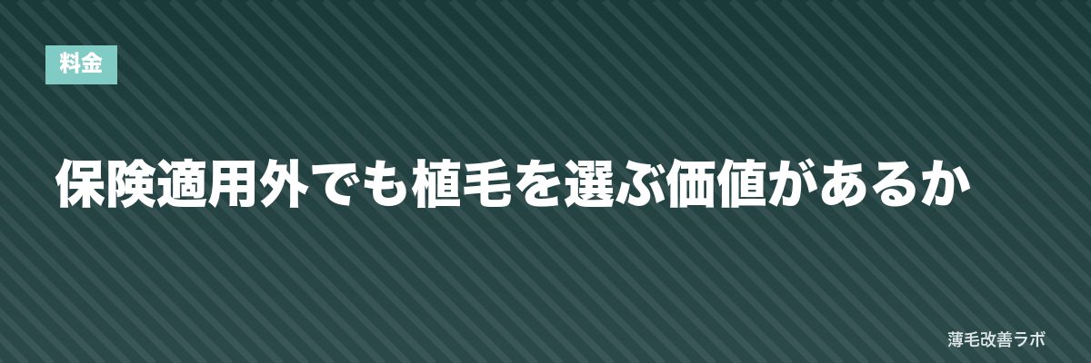 保険適用外でも植毛を選ぶ価値があるか | 薄毛改善ラボ