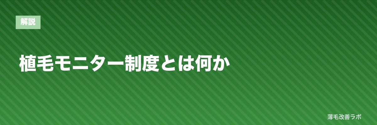 植毛モニター制度とは何か | 薄毛改善ラボ