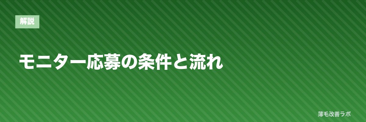 モニター応募の条件と流れ | 薄毛改善ラボ