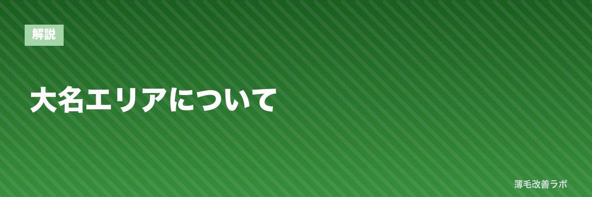 大名エリアについて | 薄毛改善ラボ