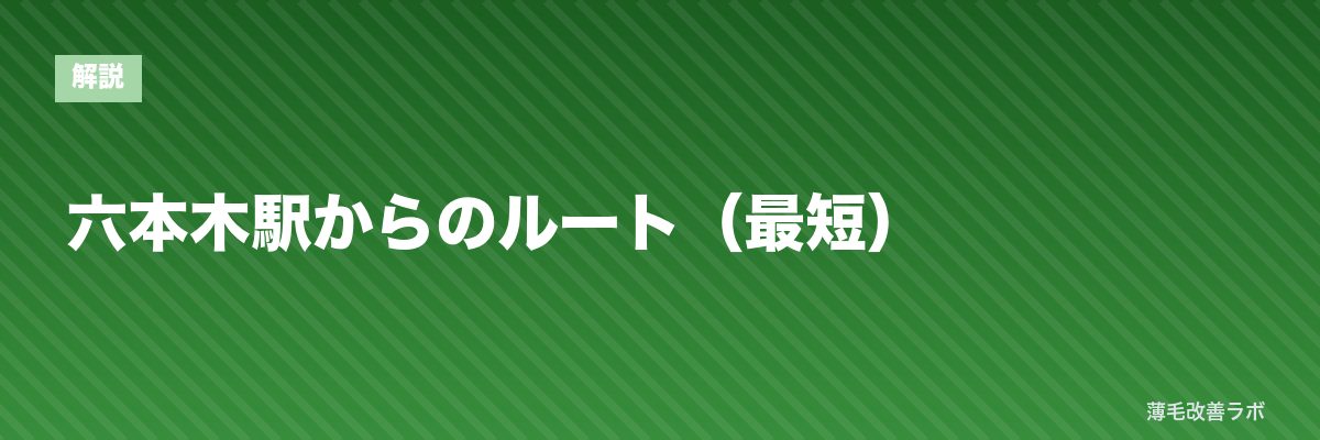 六本木駅からのルート（最短） | 薄毛改善ラボ