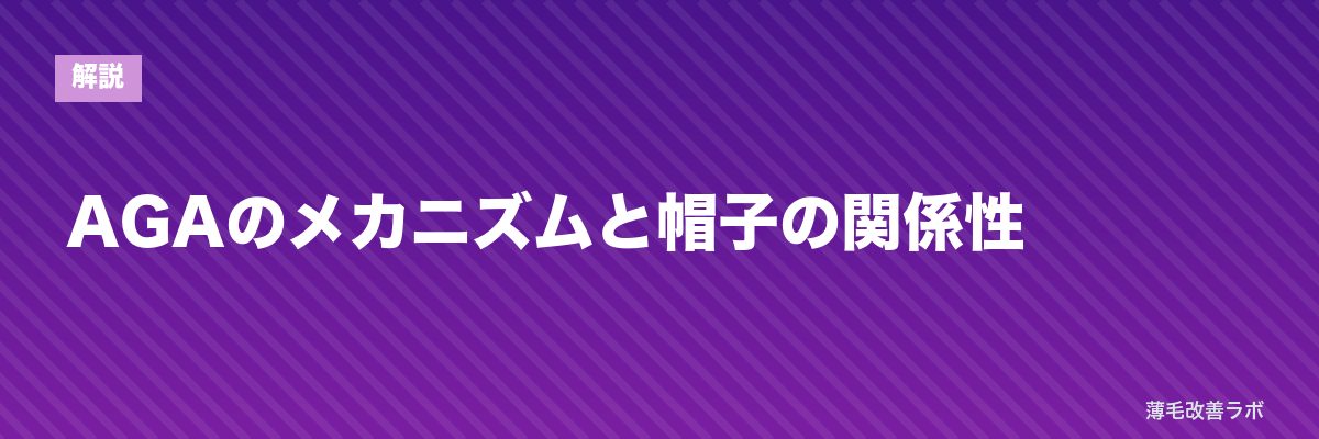 AGAのメカニズムと帽子の関係性 | 薄毛改善ラボ