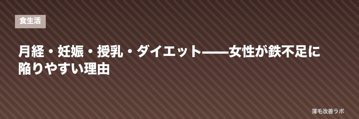 月経・妊娠・授乳・ダイエット——女性が鉄不足に陥りやすい理由 | 薄毛改善ラボ